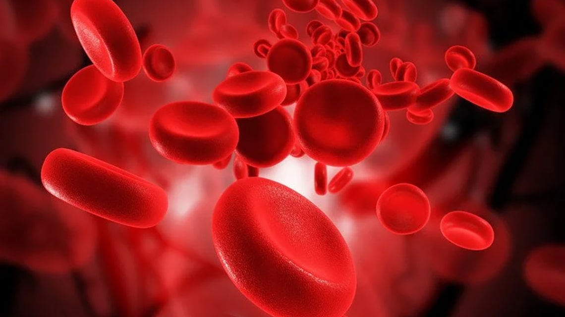 Research: Vascular Disease Might Be Treatable with Stem Cells
